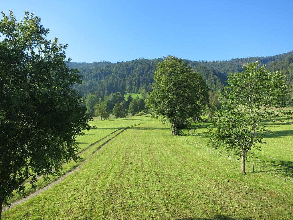 Ferienwohnungen Marchanger 涅德劳 外观 照片